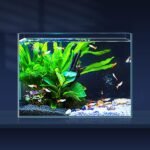 3 Gallon Ultra Clear Glass Fish Tank, Rimless Low Iron Aquarium for Betta/Nano/Goldfish/Snail/Shrimp, Small Fish Tank with Fish Net & Cleaning Tools - Image 2