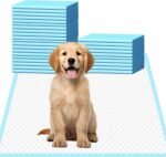 40 Count Puppy Pee Pads 24'' x 24'', Disposable Dog Toilet Training Pad, Ultra Absorbent | Quick Dry | Leak-Proof Pet Potty Pads for Puppies, Dogs, Doggie, Cats, Rabbits, Blue - Image 2