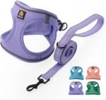 BELLA & PAL Puppy Harness with Leash Set, Dog Harness for Small Dogs No Pull, Dog Leash for Puupy, Step in Harness for Extra Small Dogs (Lavender, S) - Image 2