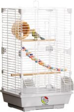 Basic Bird Cage, 24.8inch Parrot Cage (24.8" x 14.6" x 11"),Bird Cage with 1 Ladder, 1 Horizontal Bar, 2 Feeders, and 1 Swing - Image 2