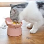 Blue Elevated Cat Bowl with Tilted Design - Cute Ear Shape, Non-Slip Base, Reduces Neck Strain, Perfect for Cats & Small Pets, Easy to Clean, Durable Material - Image 2