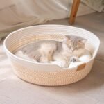 CHEERHOME PETS Cat Bed Basket with Cushion, Cute Pet Bed for Indoor Cats Couch, Kitten Bed for Medium and Large Cat, All Season Universal(White) - Image 2