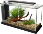Fluval 10516A2 Spec V Aquarium Kit, 5-Gallon, Black - Image 2