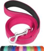 FunTags 6FT Reflective Dog Leash with Soft Padded Handle for Training,Walking Lead for Large & Medium Dog,1 Inch Wide,HOTPINK - Image 2