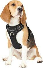 Funfox Dog Harness No Pull, Vertical Handle Easy Control with 2 Leash Clips, Adjustable Anti Pull Pet Vest Harness, Reflective Strips Night Walking Size for Small Medium Large Breed, Black M - Image 2