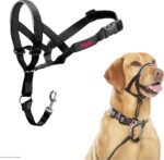 Halti Headcollar - Stop Your Dog Pulling on the Leash. Adjustable, Reflective and Lightweight, with Padded Nose Band. Dog Training Anti-Pull Collar for Medium Dogs (Size 3, Black) - Image 2