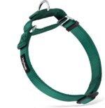 Hyhug Martingale Dog Collar Medium Green |Escape - Proof Heavy Duty Nylon Durable No Slip, Ideal for Training & Daily Walks - Image 2