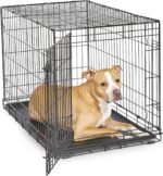 New World Pet Products Folding Metal Dog Crate; Single Door 36" - Image 2