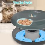 Ownpets 6 Meals Automatic Cat Feeder for Wet/Dry Food, with 2 Ice Packs, Programmable Timed Pet Food Dispenser, Cordless Rechargeable Battery Auto Feeder for Kitty/Small Dogs,Black - Image 2