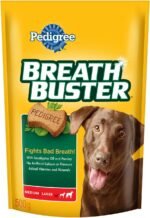 PEDIGREE Breathbuster Medium & Large Adult Dog Treats - Crunchy Biscuits - with Eucalyptus Oil and Parsley, 500g Pouch - Image 2