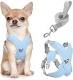 Pawaboo Small Dog Harness and Leash Set, Puppy Harness X-Frame No Pull No Choke, Dog Vest Harness Adjustable for Small Medium Sized Dogs, Soft Breathable Pet Harness for Walking Outing (S, Blue) - Image 2