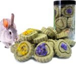 Rabbit Chew Toys for Teeth, FIPASEN 18PCS Natural Timothy Hay Chew Toy, Improve Dental Health for Bunny/Chinchilla/Guinea Pig/Hamsters/Holland Lop, Small Rodent Pet Molar Teeth Treats Toys - Image 2
