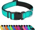Reflective Dog Collar, Adjustable Soft Neoprene Padded Nylon Pet Collars with Buckle for Large Dogs, Teal,L - Image 2