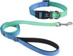 Roses&Poetry Bluegreen Small Dog Collar and Leash Set, Puppy Reflective Leashes with Collars, Adjustable Durable Matching Collar Leash for Small Dogs Girl (Bluegreen-S) - Image 2