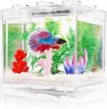 Small Betta Fish Tank, Aquarium Tank Kit with LED Lighting, 0.6 Gallon Stackable Fighting Fish Tank Set, Fish Bowl Accessories for Turtle Reptile Shrimp Crab Insects as Decoration - Image 2