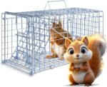 Squirrel Traps - Foldable Heavy Duty Humane Live Animal Cage Trap for Squirrels Rabbit, Rat, Vole, Skunk, Chipmunk Groundhog Possum & Small Cat - Image 2