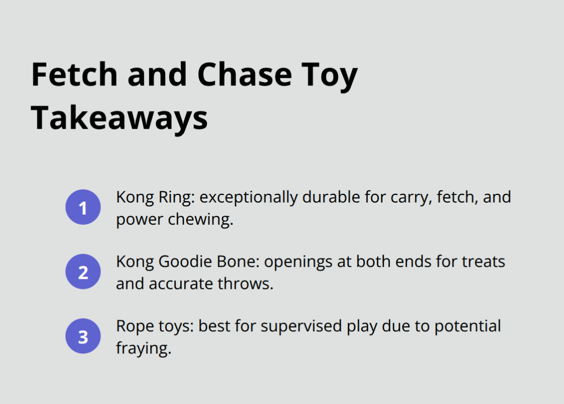 Key points on fetch, tug, and Goodie Bone toys for dogs - dog enrichment toys