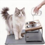 Upgraded Elevated Cat Bowls with Food Mat,15°Tilted Stand Anti Vomiting Raised Cat Dishes for Food and Water,2 Stainless Steel Bowls for Cats and Puppy - Image 2