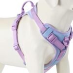 Wolfone No Pull Dog Harness Adjustable Soft Padded Pet Vest with Control Handle Adorable Daily Harness for Dogs（Spun Sugar S） - Image 2