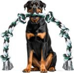 Ycozy XXL 6-Knot Dog Rope Toy for Large Dogs Aggressive Chewers 100cm Heavy Duty Dog Teething Chew Toy Puppy Almost Indestructible Cotton - Image 2