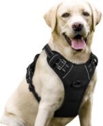 rabbitgoo Dog Harness, No-Pull Pet Harness with 2 Leash Clips, Adjustable Soft Padded Vest, Reflective No-Choke Pet Oxford Vest with Easy Control Handle for Large Dogs, Black, L - Image 2
