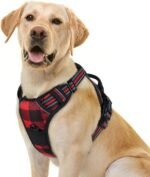 rabbitgoo Dog Harness, No-Pull Pet Harness with 2 Leash Clips, Adjustable Soft Padded Vest, Reflective No-Choke Pet Oxford Vest with Easy Control Handle for Large Dogs, Red Plaid, L - Image 2