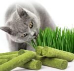 120g Freezed Dried Cat Grass Teething Stick, Cat Chew Stick for Teeth Cleaning and Hairball Removal, Cats Grass Treats Snacks - Image 2