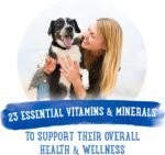 Beneful Prepared Meals Wet Dog Food, Roasted Turkey Medley - 283 g Tub (8 Pack) - Image 7