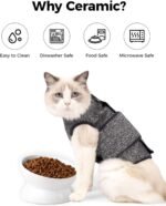 LoeJan Elevated Cat Food Bowl, 5 Oz Ceramic Raised and Tilted Pet Water Bowl, Anti Vomiting and Protect Pets' Spines Cat Dishes for Small Dog, Fat Faced Cat, Kitten (White, 2 Pack) - Image 5