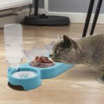 Triple Cat Bowls, 15° Tilt 3-in-1 Water Feeder With Automatic Water Bottle, Whisker Friendly Wet and Dry Elevated Feeding Dishes for Small Cats and Puppies (Sky Blue) - Image 8