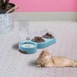 Triple Cat Bowls, 15° Tilt 3-in-1 Water Feeder With Automatic Water Bottle, Whisker Friendly Wet and Dry Elevated Feeding Dishes for Small Cats and Puppies (Sky Blue) - Image 9