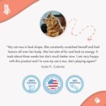 Skin & Coat Support for Cats, Natural Ear & Skin Support Helps Maintain Healthy Skin & Coat, Supports Dandruff Control, Shedding Balance & Excessive Grooming, 400 Odorless Pills - Image 3