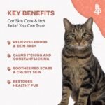 Skin & Coat Support for Cats, Natural Ear & Skin Support Helps Maintain Healthy Skin & Coat, Supports Dandruff Control, Shedding Balance & Excessive Grooming, 400 Odorless Pills - Image 4
