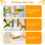 KATUMO Bird Treats Parrot Crunch Sticks Parakeet Grains Mixed Treats Cockatiel Snacks Budgie Food Sticks for Lovebird Conure Myna Canary Parrots - Image 6