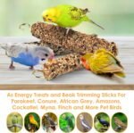KATUMO Bird Treats Parrot Crunch Sticks Parakeet Grains Mixed Treats Cockatiel Snacks Budgie Food Sticks for Lovebird Conure Myna Canary Parrots - Image 8