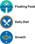 Hikari 8.8-Ounce Cichlid Staple Floating Pellets for Pets, Large - Image 6