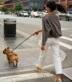 Chew Proof Dog Leash for Medium Large Breed Dogs 6FT/4FT, Heavy Duty Anti-Chew Metal Chain Leashes with Comfortable Handle by Lecreo - Image 7