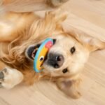 Outward Hound Tough Skinz Durable Squeaky Dog Toy with Two Tough Layers, Donut, Multicolor, Small - Image 7