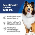 Hill's Science Diet Sensitive Stomach & Skin, Adult 1-6, Stomach & Skin Sensitivity support, Wet Dog Food, Turkey & Rice Stew, 12.5 oz Can, Case of 12 - Image 5