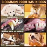 Natural Bully Sticks 100% Beef Single Ingredient for Small & Medium Dogs 2pcs, 7"-8" Fully Digestible Bison Dog Chew Bones - Crispy Texture, Long-Lasting for Pet Chewing - Image 9