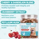 Wellix 13.5oz Urinary Tract Cat Treats for Indoor Cats - Chicken Flavor Kitten Snacks - Dandelion & Cranberry Added - Image 3