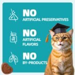 Wellix 13.5oz Urinary Tract Cat Treats for Indoor Cats - Chicken Flavor Kitten Snacks - Dandelion & Cranberry Added - Image 6