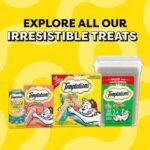TEMPTATIONS Cat Treats, Assorted Variety Pack, 510g (6x85g Pack) - Image 8