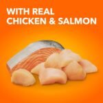 IAMS PROACTIVE HEALTH Hairball Care Adult Dry Cat Food – Chicken & Salmon – 1.59 KG (3.5LB) - Image 4