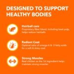 IAMS PROACTIVE HEALTH Hairball Care Adult Dry Cat Food – Chicken & Salmon – 1.59 KG (3.5LB) - Image 7