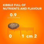 IAMS PROACTIVE HEALTH Hairball Care Adult Dry Cat Food – Chicken & Salmon – 1.59 KG (3.5LB) - Image 9