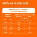 IAMS PROACTIVE HEALTH Hairball Care Adult Dry Cat Food – Chicken & Salmon – 1.59 KG (3.5LB) - Image 13