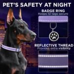 TECEUM Reflective Dog Collar – Lavender – M – Extra Soft Padding – Basic Nylon Dog Collar – Quick Release Buckle – Fits Small, Medium and Large Dogs, Puppies, Cats – ESA & Service Dog Options - Image 5