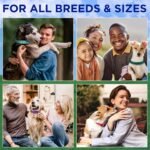 TECEUM Reflective Dog Collar – Lavender – M – Extra Soft Padding – Basic Nylon Dog Collar – Quick Release Buckle – Fits Small, Medium and Large Dogs, Puppies, Cats – ESA & Service Dog Options - Image 7