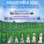 TECEUM Reflective Dog Collar – Lavender – M – Extra Soft Padding – Basic Nylon Dog Collar – Quick Release Buckle – Fits Small, Medium and Large Dogs, Puppies, Cats – ESA & Service Dog Options - Image 8